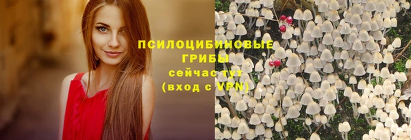 прущий лед Семёнов